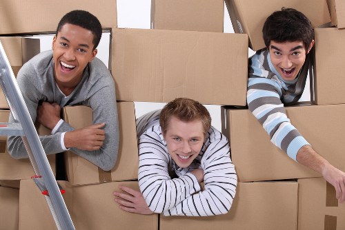 Internal review of a removals complaint case