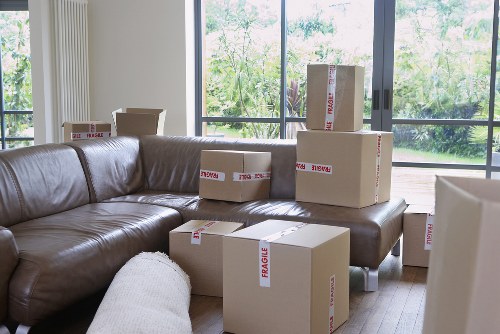 Professional man with a van handling boxes and household goods